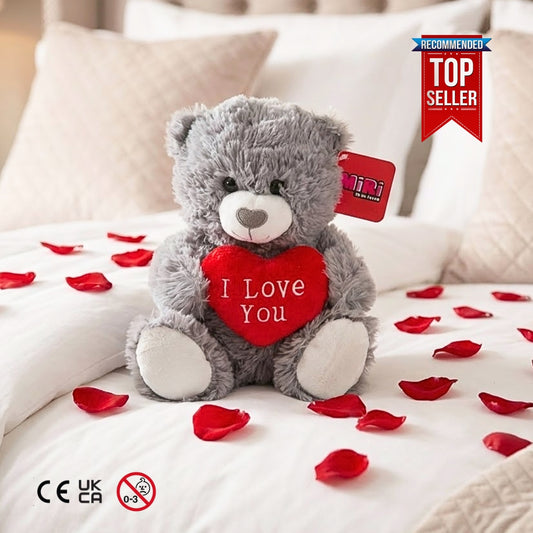 Teddy Bear Soft Toy Grey for Valentines Day I Love You Red